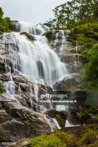 majestic waterfall, munnar, kerala, indie - kerala waterfall stock pictures, royalty-free photos & images