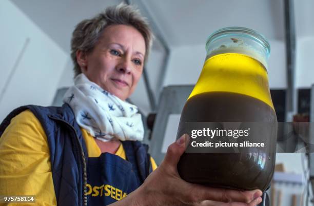 April 2018, Germany, Langenhanshagen: Kerstin Kraus checks cold-pressed organic linseed oil next to an oil press at the Baltic Sea mill. The company...