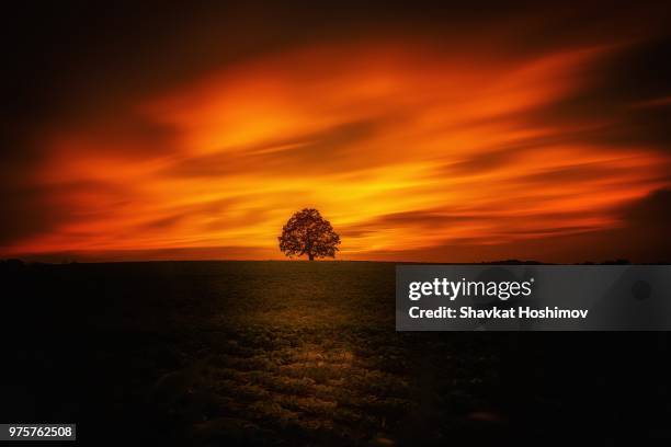 lonely sunset - shavkat stock-fotos und bilder