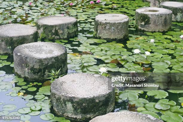 kyoto,japan - stepping stone top view stock pictures, royalty-free photos & images