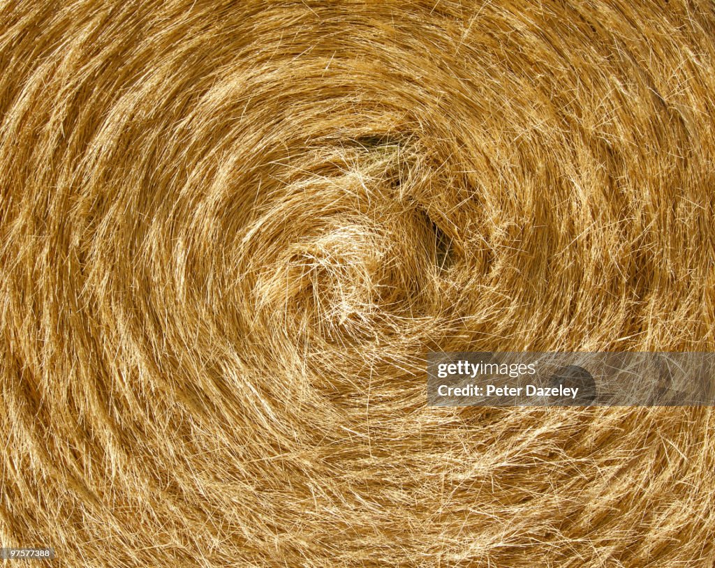 Close up of bale of wheat