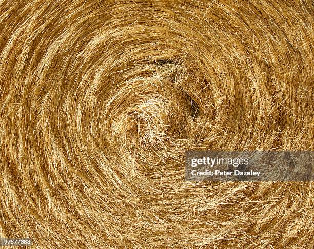 close up of bale of wheat - straw fotografías e imágenes de stock