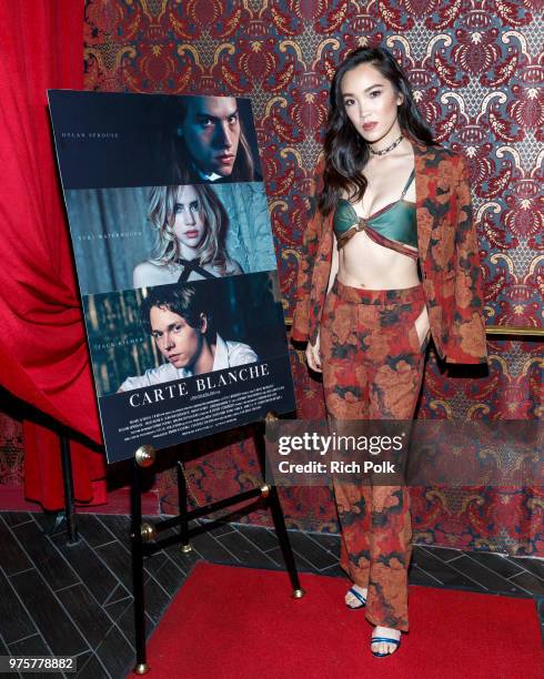 Actress Jessika Van arrives at an event where Flaunt Presents a private screening of Eva Dolezalova's 'Carte Blanche' at Hollywood Roosevelt Hotel on...