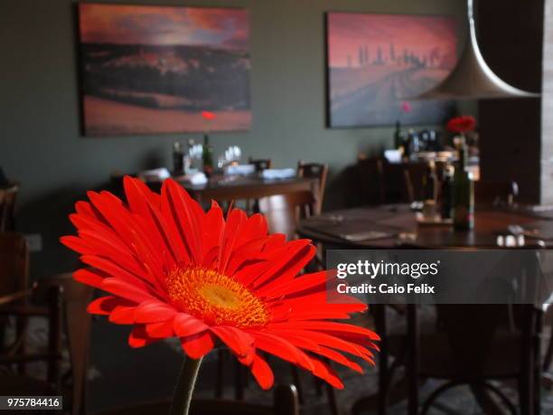 restaurante - restaurante stock pictures, royalty-free photos & images