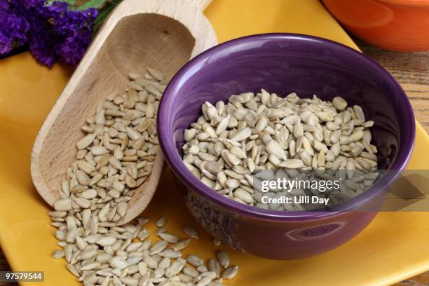 sunflower seeds - plato cuadrado fotografías e imágenes de stock