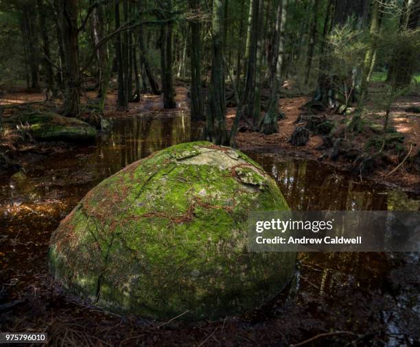 white cliffs balls pt iv - andrew caldwell stock pictures, royalty-free photos & images