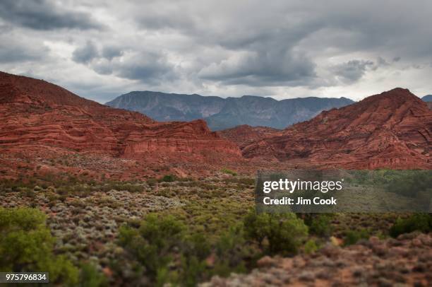 red cliffs & pine valley mountains monsoon - red pine stock pictures, royalty-free photos & images