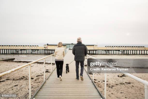 full length rear view of senior couple walking with schnauzer on boardwalk at beach against clear sky - öresundregion stock-fotos und bilder