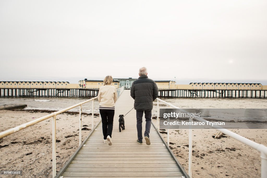 Full length rear view of senior couple walking with Schnauzer on boardwalk at beach against clear sky