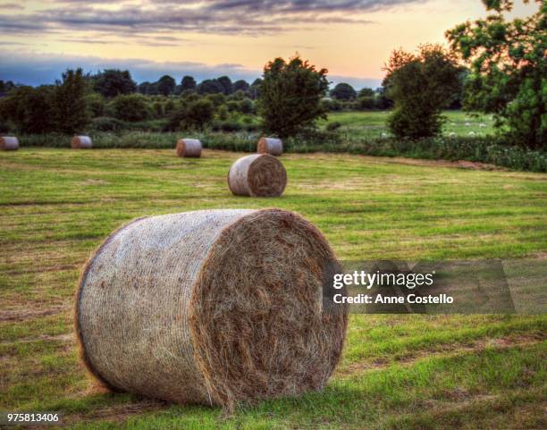 Make Hay 1,209 Make Hay Stock Photos, High-Res Pictures, and Images - Getty Images