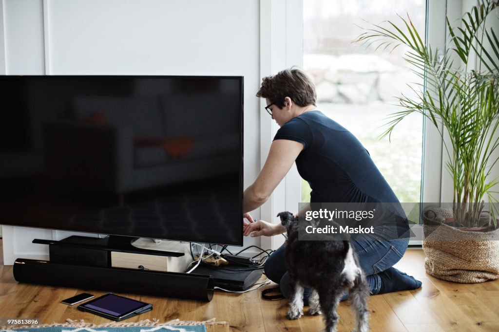 Pregnant woman arranging cables of television set while kneeling by dog in living room