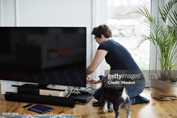 pregnant woman arranging cables of television set while kneeling by dog in living room - television set - fotografias e filmes do acervo