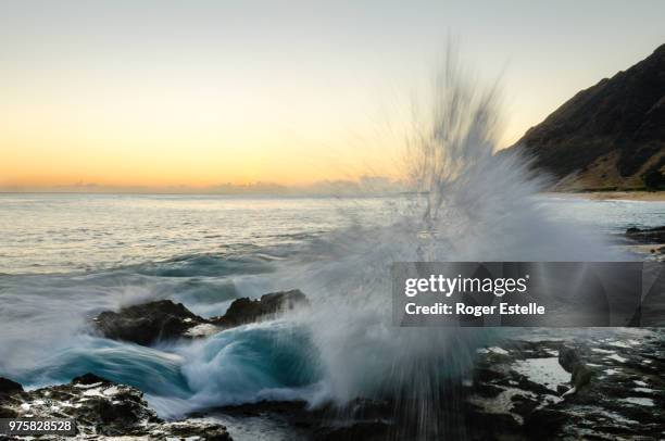 ka'ena point state park - ena stock pictures, royalty-free photos & images