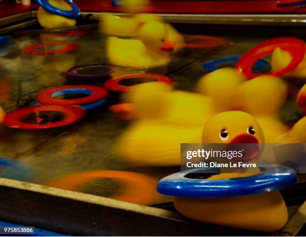 ducky ring toss - ring toss imagens e fotografias de stock