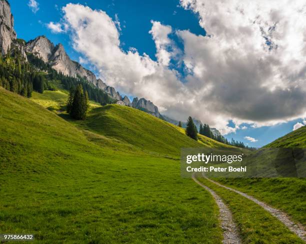 alps landscape, appenzell innerrhoden, switzerland - appenzell innerrhoden stock pictures, royalty-free photos & images