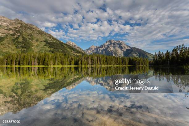 string lake reflection, wyoming, usa - string - fotografias e filmes do acervo