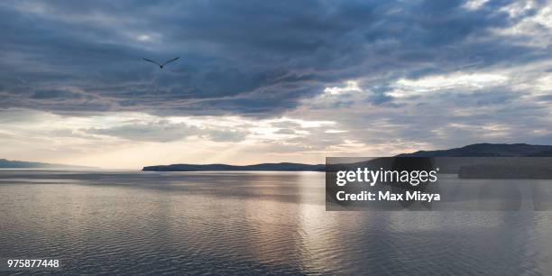 baikal - max knoll stock pictures, royalty-free photos & images