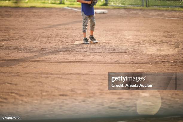 evening minor baseball - angela auclair bildbanksfoton och bilder