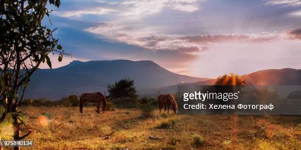 sunset over chatyr-dag mountain, crimea, ukraine - dag stock pictures, royalty-free photos & images