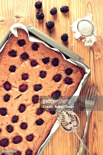 blackberry brownie - brambleberry stock pictures, royalty-free photos & images