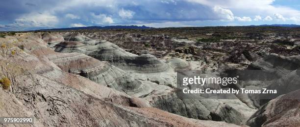 rock formations of valle de la luna - イスキグアラスト州立公園 ストックフォトと画像