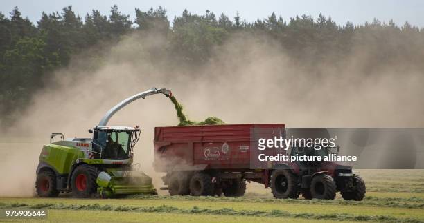 May 2018, Germany, Ebstorf: A shredder chops up freshly mown grass. In the process, dry soil is stirred up, causing clouds of dust to form around the...