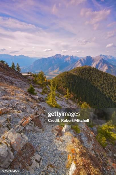 view of the rockies from sulphur mountain - sulphur mountain fotografías e imágenes de stock