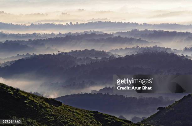 sunrise from thadiyandamol, coorg - coorg stock pictures, royalty-free photos & images