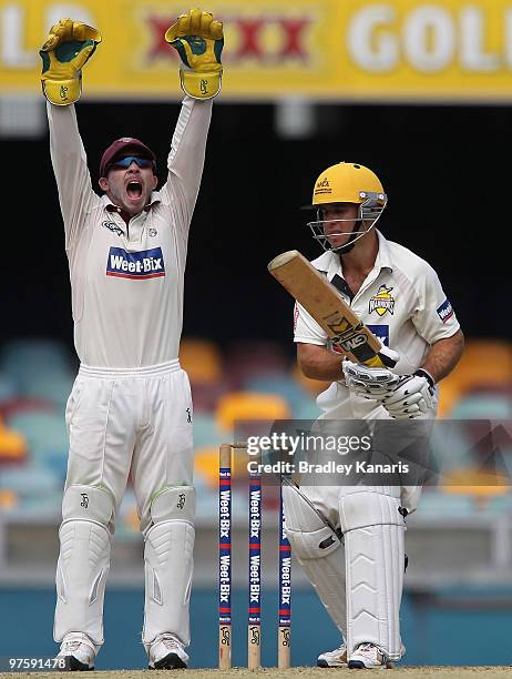 Chris Hartley of the Bulls appeals for the wicket of Liam Davis of the Warriors during the Sheffield Shield match between the Queensland Bulls and...