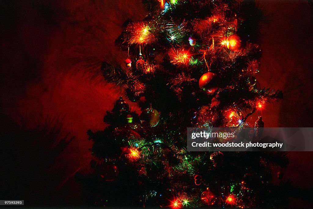 Christmas tree with lights