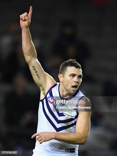 Hayden Ballantyne of the Dockers celebrates kicking a goal during the round 13 AFL match between the Carlton Blues and the Fremantle Dockers at...