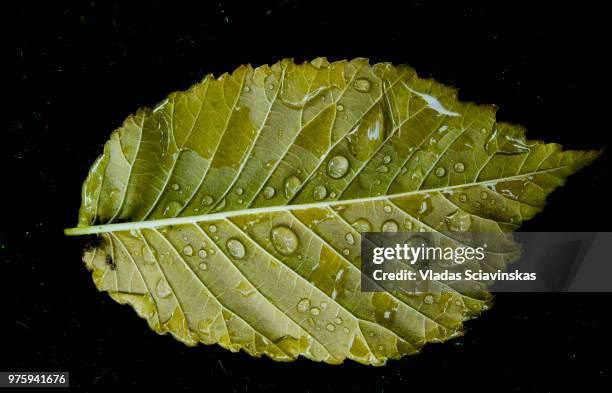 Autumn High-Res Stock Photo