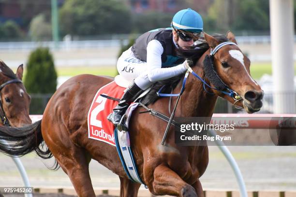 Showpero ridden by Jamie Kah wins the Epi CafÃ© Plate at Moonee Valley Racecourse on June 16, 2018 in Moonee Ponds, Australia.