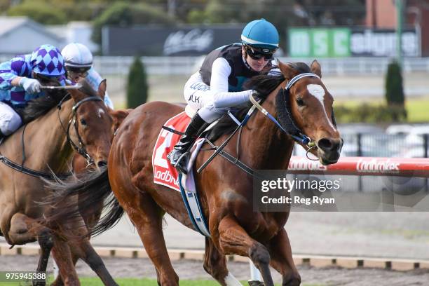 Showpero ridden by Jamie Kah wins the Epi CafÃ© Plate at Moonee Valley Racecourse on June 16, 2018 in Moonee Ponds, Australia.