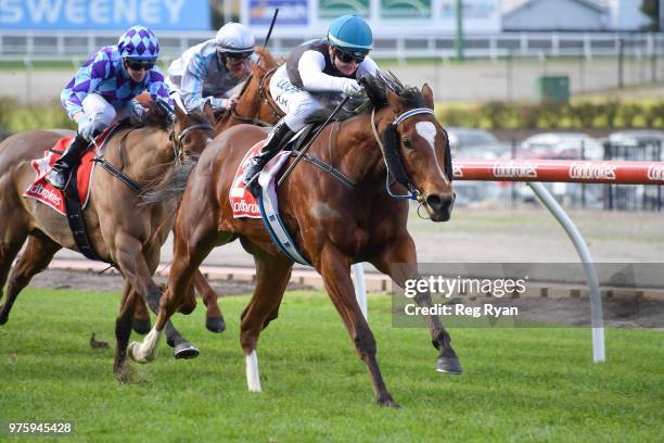 Showpero ridden by Jamie Kah wins the Epi CafÃ© Plate at Moonee Valley Racecourse on June 16, 2018 in Moonee Ponds, Australia.