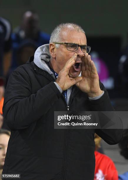 Carlton fan yells at his team after not kicking a goal in the first half during the round 13 AFL match between the Carlton Blues and the Fremantle...