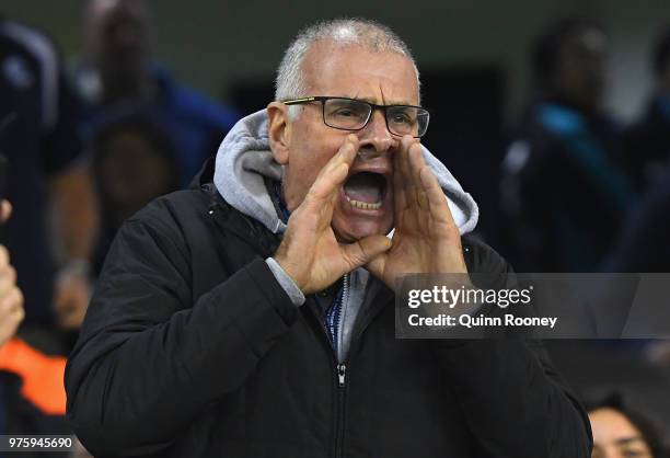 Carlton fan yells at his team after not kicking a goal in the first half during the round 13 AFL match between the Carlton Blues and the Fremantle...