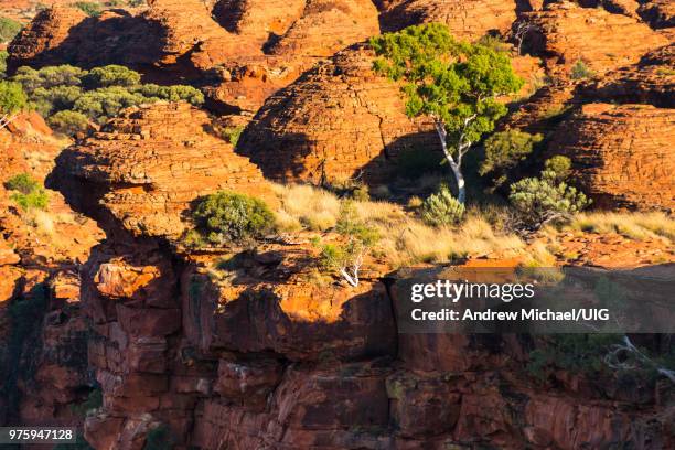 watarrka, kings canyon, national park, northern territory, australia. - overhangende rots stockfoto's en -beelden