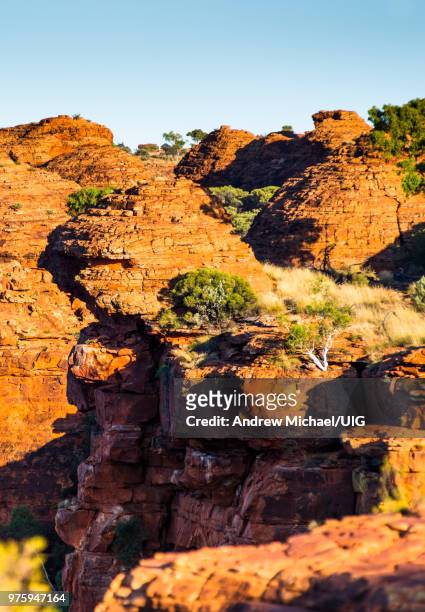 watarrka, kings canyon, national park, northern territory, australia. - rock overhang imagens e fotografias de stock