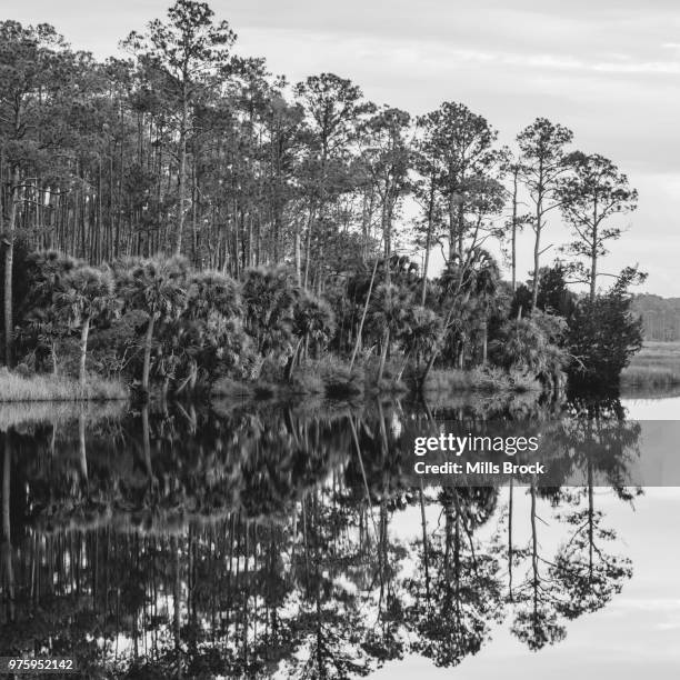 cash creek, apalachicola, florida, usa - apalachicola-florida photos et images de collection