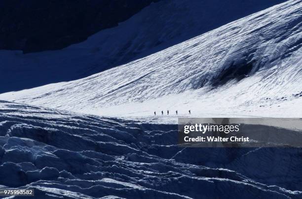 incidental people hiking on mountain in snow, gletscher, austria - gletscher stockfoto's en -beelden