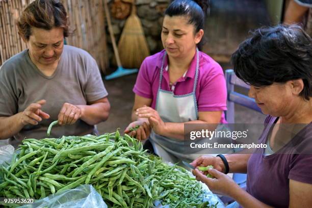 women cleaning fresh green beans - emreturanphoto foto e immagini stock