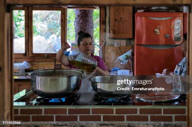 woman cooking in the camp kitchen. - emreturanphoto stock pictures, royalty-free photos & images