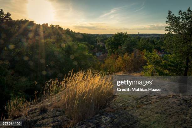solna sunset - solna stock pictures, royalty-free photos & images