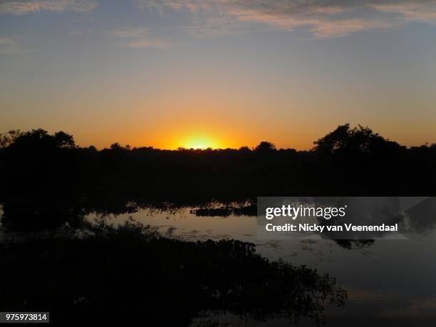 sun raise pantanal - veenendaal imagens e fotografias de stock