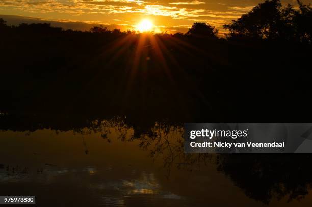 sunset pantanal - veenendaal imagens e fotografias de stock