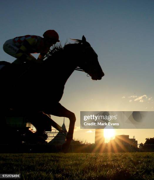 Blake Shinn on Manolo Blahniq wins race 9 during Sydney racing at Rosehill Gardens on June 16, 2018 in Sydney, Australia.