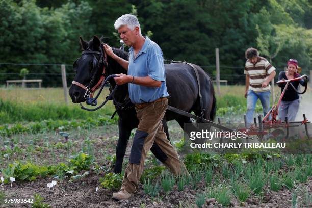 Farmer Charles Herve-Gruyer leads a horse and plough along a field at a biological farm of the Bec-Hellouin on May 25, 2018 in Le Bec-Hellouin,...