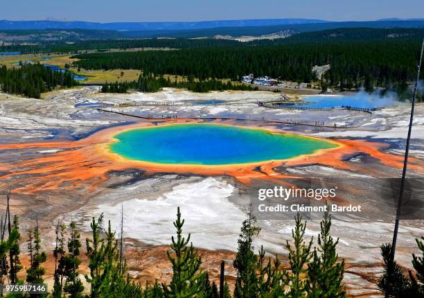 colorful hot spring, yellowstone national park, wyoming, usa - grand prismatic spring stock pictures, royalty-free photos & images