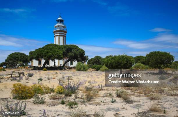 leuchtturm bei huelva - leuchtturm 個照片及圖片檔